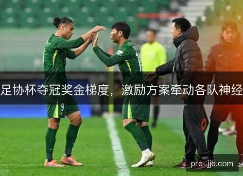 足协杯夺冠奖金梯度，激励方案牵动各队神经