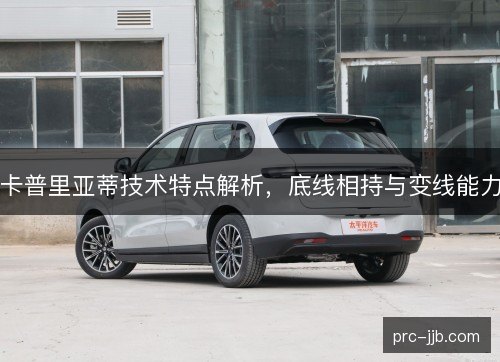 卡普里亚蒂技术特点解析，底线相持与变线能力